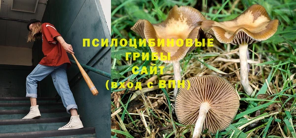 синтетический гашиш Алексин