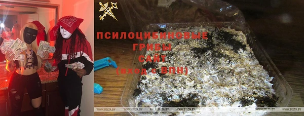 мдпв Алзамай