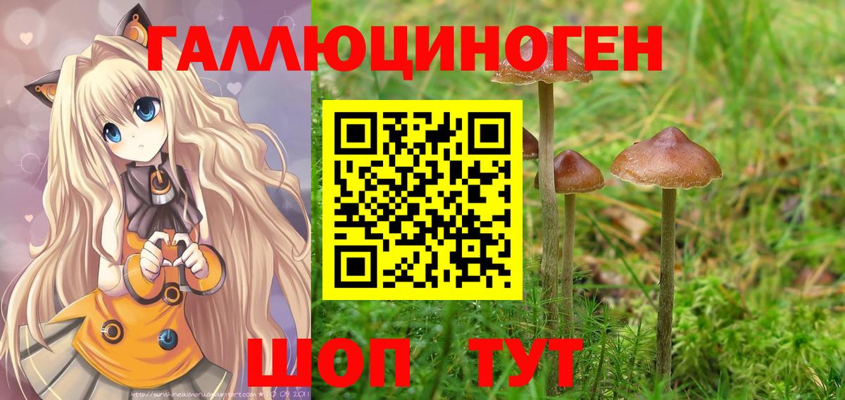 Галлюциногенные грибы ЛСД Каменск-Уральский